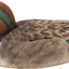 Mallard Grande con Ala Verde para Piscinas y Jardín