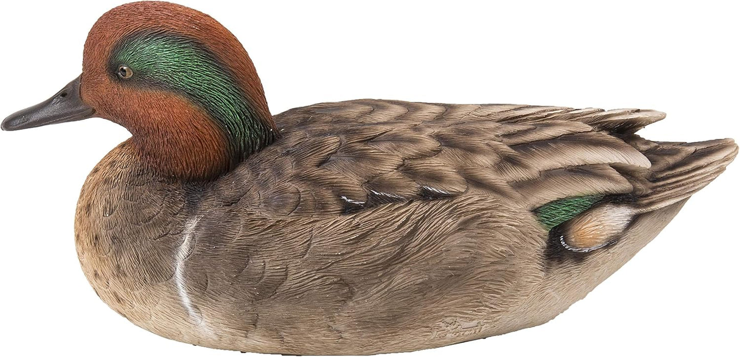 Mallard Grande con Ala Verde para Piscinas y Jardín
