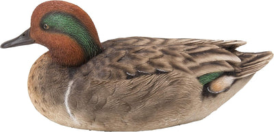 Mallard Grande con Ala Verde para Piscinas y Jardín