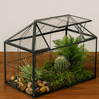 Maceta terrario con tapa giratoria vidrio negro 9.2x5.5x7.3pulg