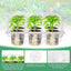 Pack 10 bandejas germinación 60 celdas 4pulg con cúpula