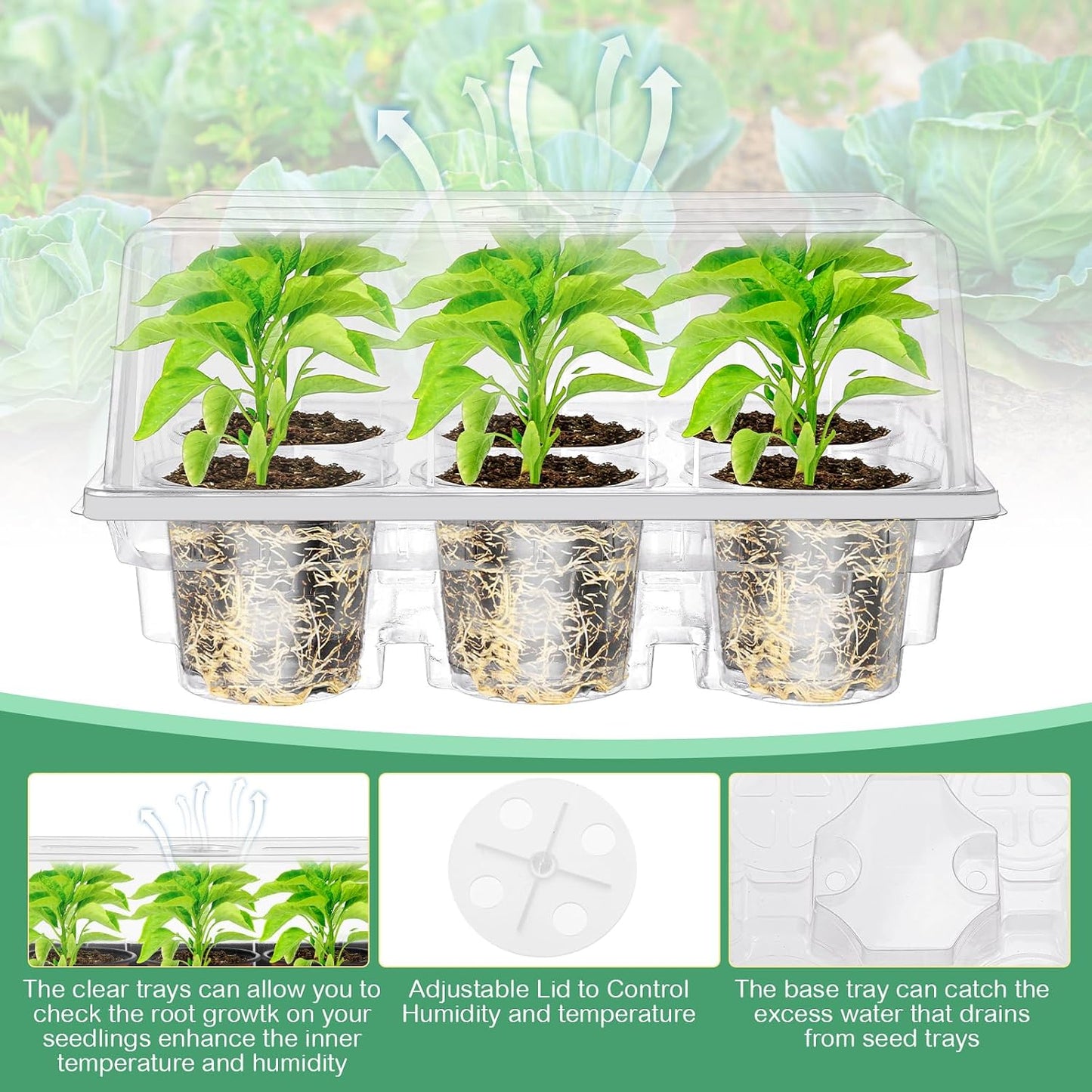 Pack 10 bandejas germinación 60 celdas 4pulg con cúpula