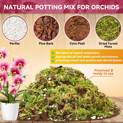 Mezcla trasplante orquídeas 1qt musgo perlita turba