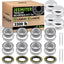 Kit rodamiento remolque husillo 4 set sellos 1.98"