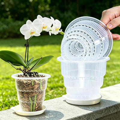 Macetas plástico transparente para orquídeas 4" set 4