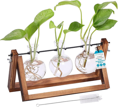 Estación propagación plantas florero 3 bombillas madera