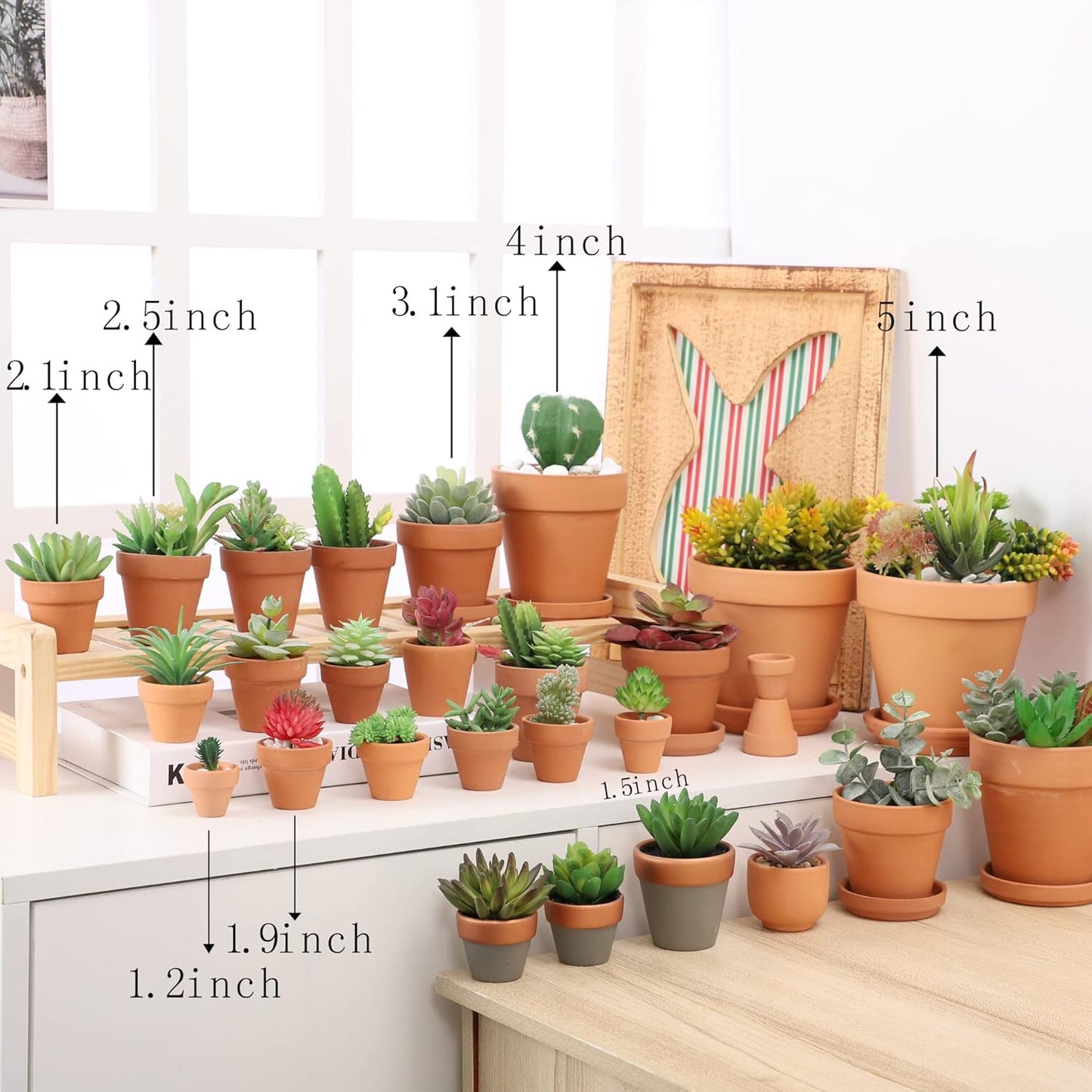 Macetas terracota 1.9pulg set 36 con agujeros cactus suculentas