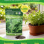Semillas rúcula para jardín interior/exterior cosecha 3-4 semanas