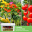 Paquete 100 semillas vegetales frutas hierbas sin OMG