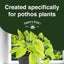 Fertilizante líquido pothos 8oz 6:5:3 fortalece raíces
