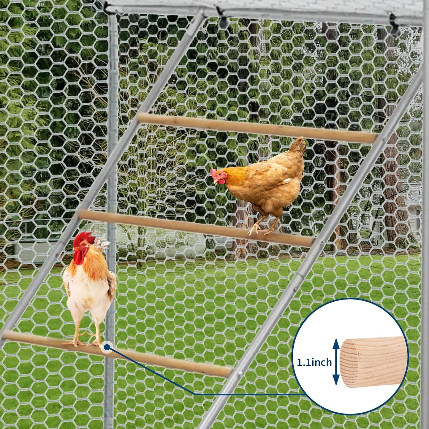Percha gallinero escalera pollo 55x40"