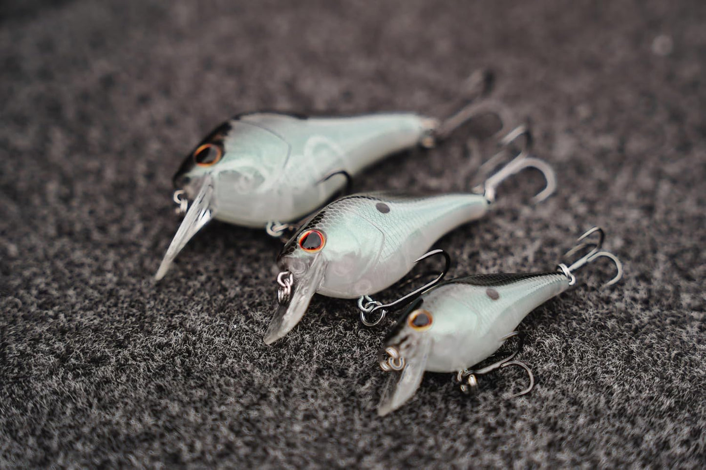 Squarebull Gilly 5.5
