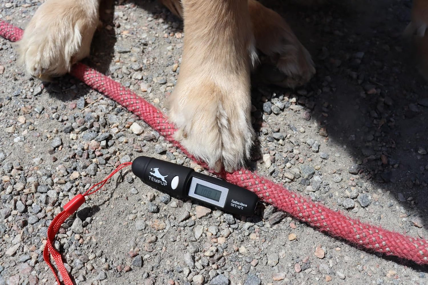 Protector patas perro para todo tipo de superficies