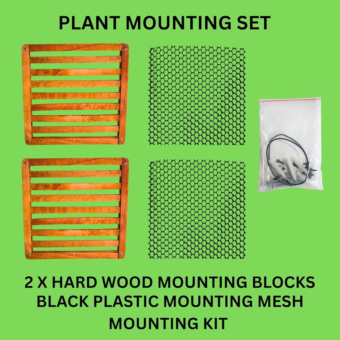 Set 2 bloques montaje helecho cuerno ciervo 2x12pulg