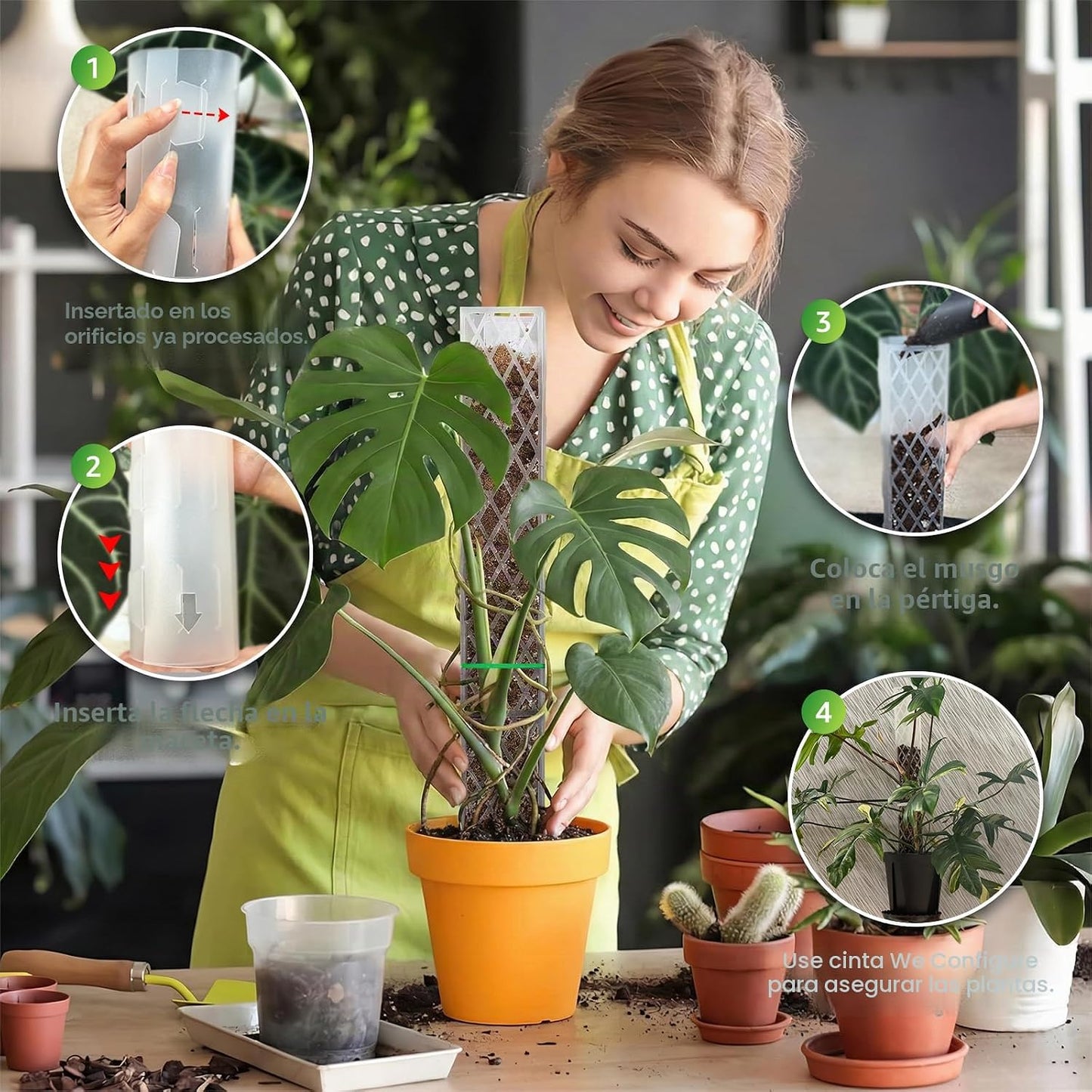 4 Postes D de 16" para plantas con musgo Sphagnum blanco