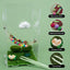Kit puente cuerda araña saltadora con plato oscilante y plataforma