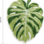 Alfombra baño con hojas Monstera antiderrap 32x26"