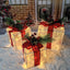 Set 3 cajas regalo Navidad con 60 luces LED