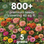 Bolsa 800 semillas Zinnia Crazy Blend 0.18oz