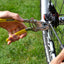 Extractor de cable para bicicleta