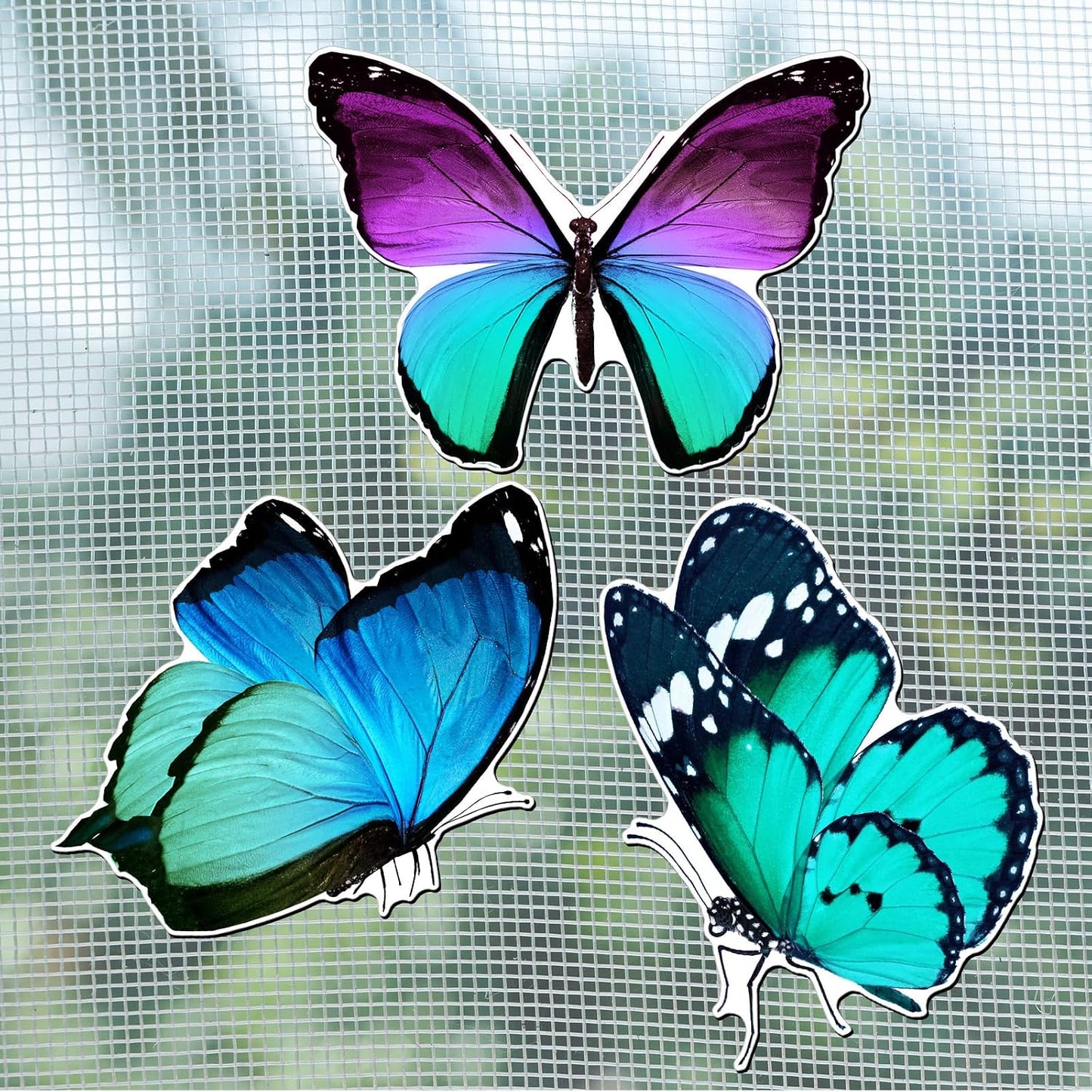 6 imanes mariposa puerta doble cara azul verde