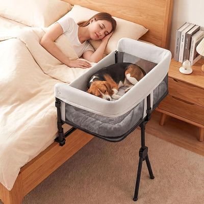 Cama perro ajustable altura humana barandilla 11pulg plegable