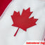 Bandera EE.UU. y Canadá 12x18" para barco resistente