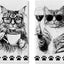 Toallas cocina gato set 2 negras blancas con estampado patas