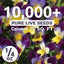Paquete 10,000 semillas Viola Tricolor 1/4oz