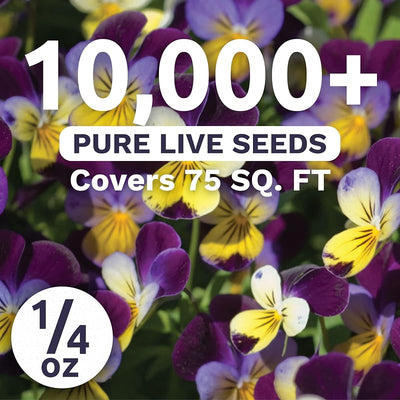 Paquete 10,000 semillas Viola Tricolor 1/4oz