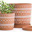 2 Pzas Macetas Terracota 4-6" con Platillos