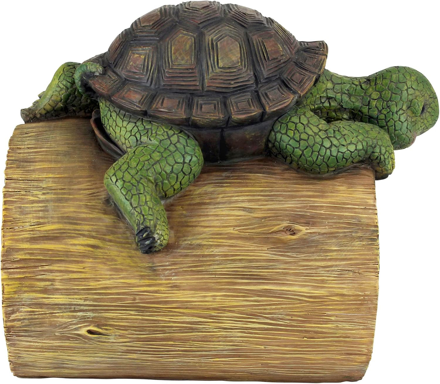 Goma para canal de lluvia tortuga