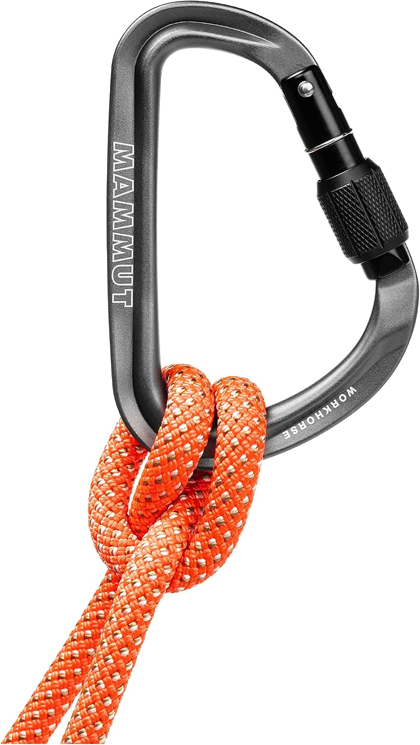 Cuerda de escalada Workhorse HMS Gris Talla Única