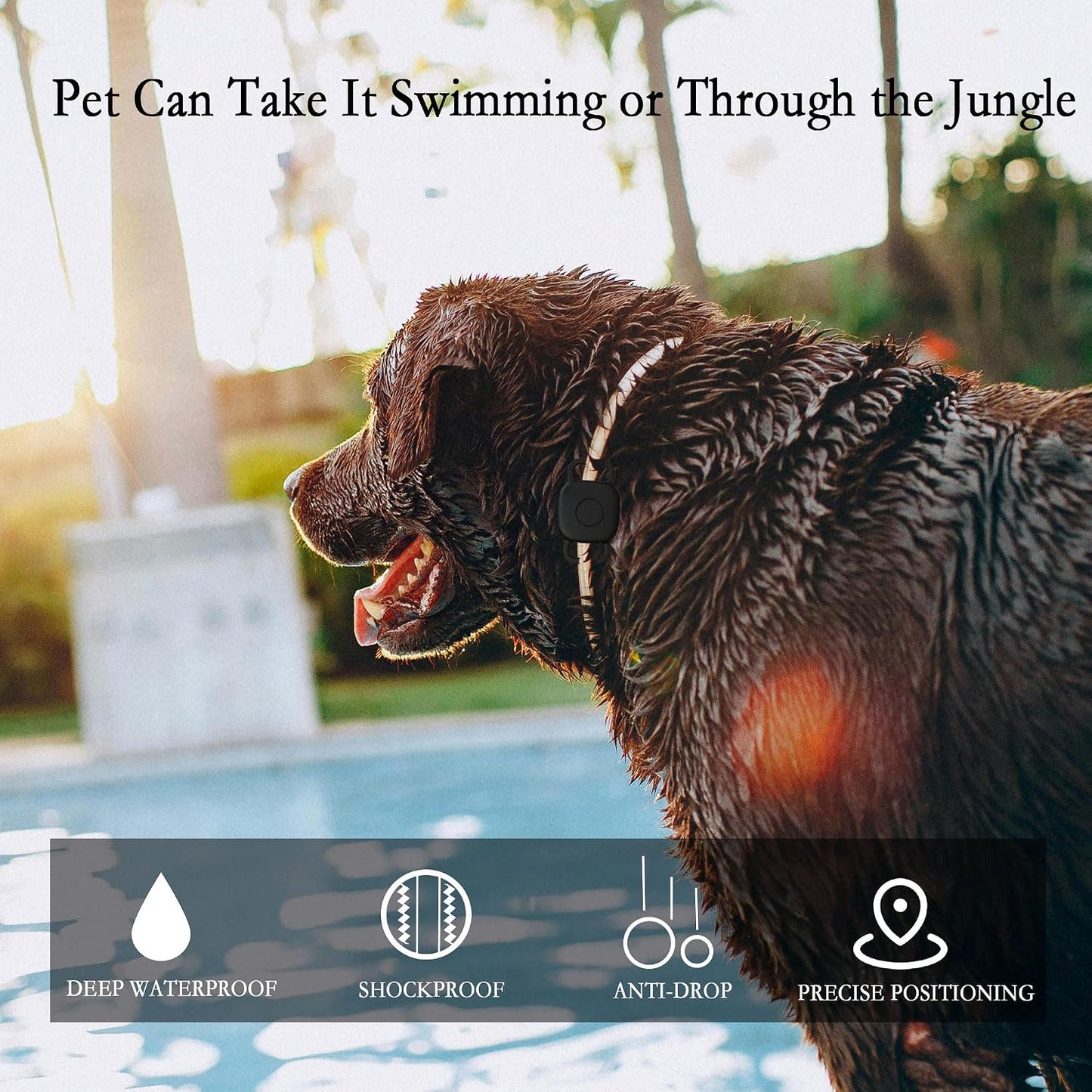 Soporte impermeable para collar Tile Life360 Mate 2024/2022