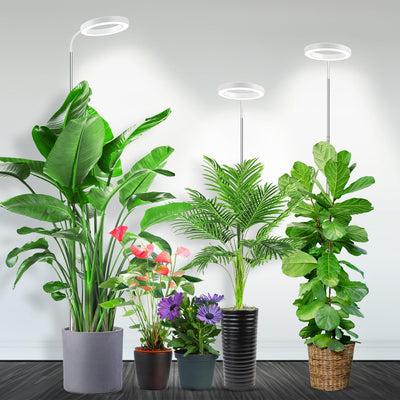 Luz cultivo Halo espectro completo 3 modos 5 niveles 65pulg