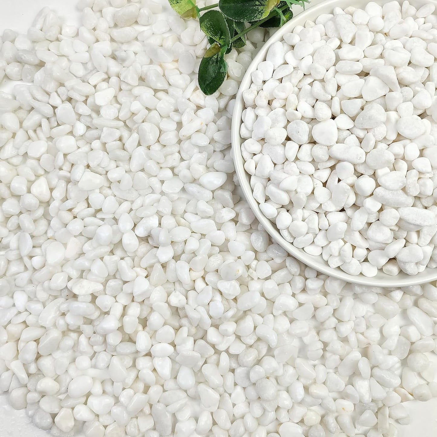 2 lb guijarros blancos para suculentas y cactus 3/8pulg