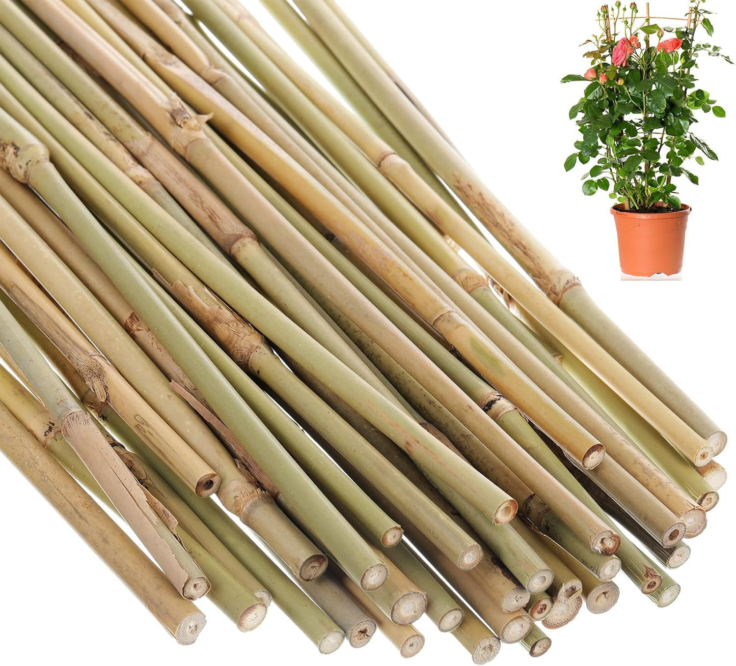 Estacas bambú para plantas trepadoras y macetas resistentes