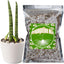 Mezcla para propagación plantas 1qt aireación y drenaje