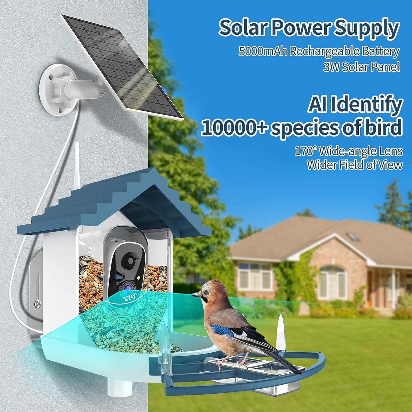 Comedero Inteligente Pájaros Cámara FHD Solar