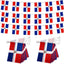 2 Banderas República Dominicana 60ft Colgantes