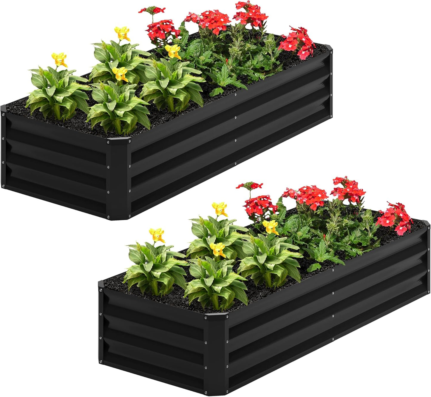 2 Camas Jardín Elevadas Galvanizadas 4x2x1pulg Negro