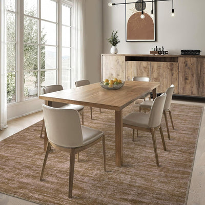 Alfombras 5x7ft para sala dormitorio oficina resistente manchas