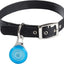 Soporte AirTag para mascotas con mosquetón azul