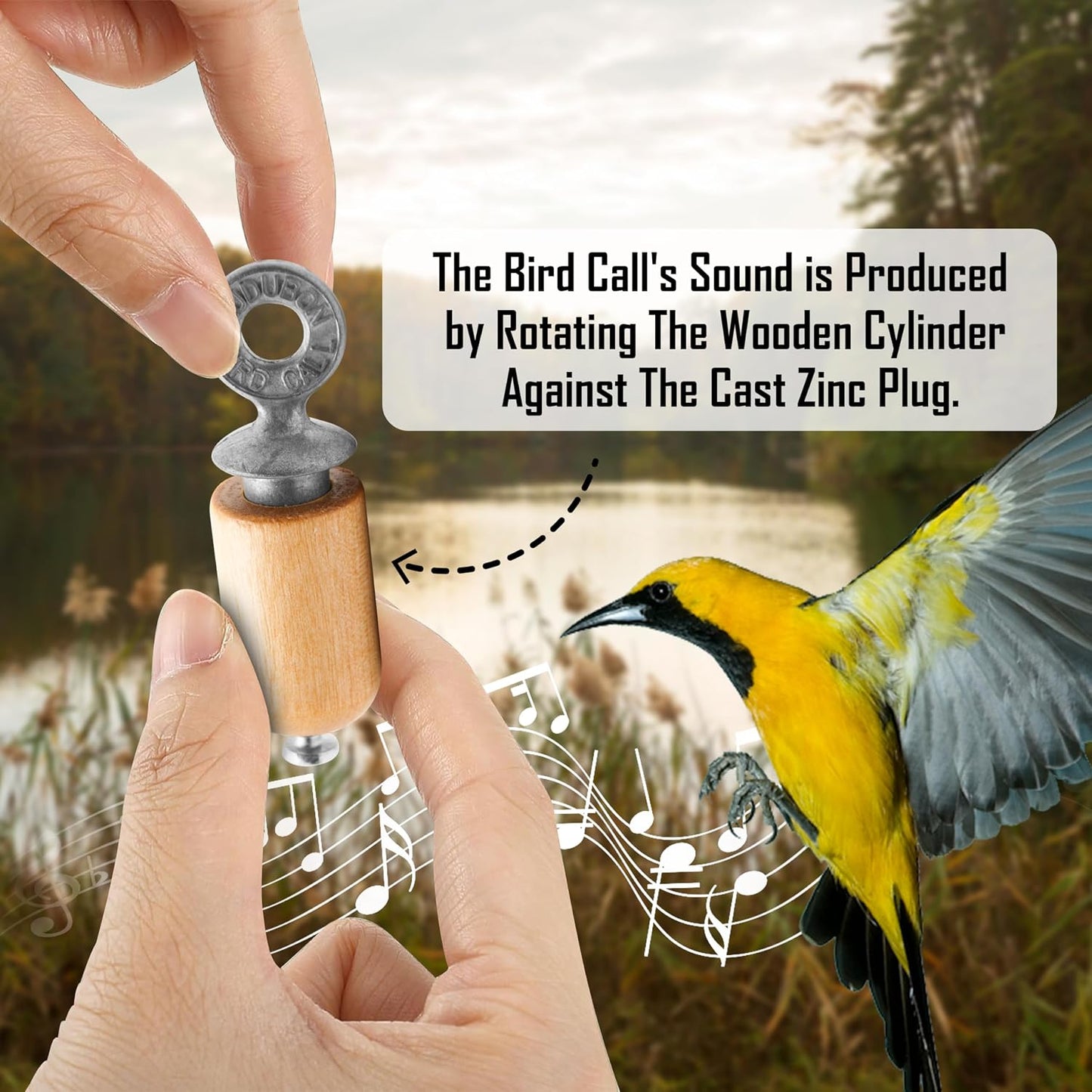 Pack regalo abedul natural Bird Call