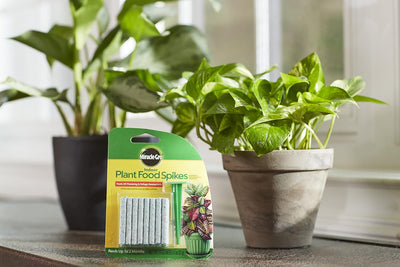 Picos para plantas de interior 1.1oz 24 pinchos/pack