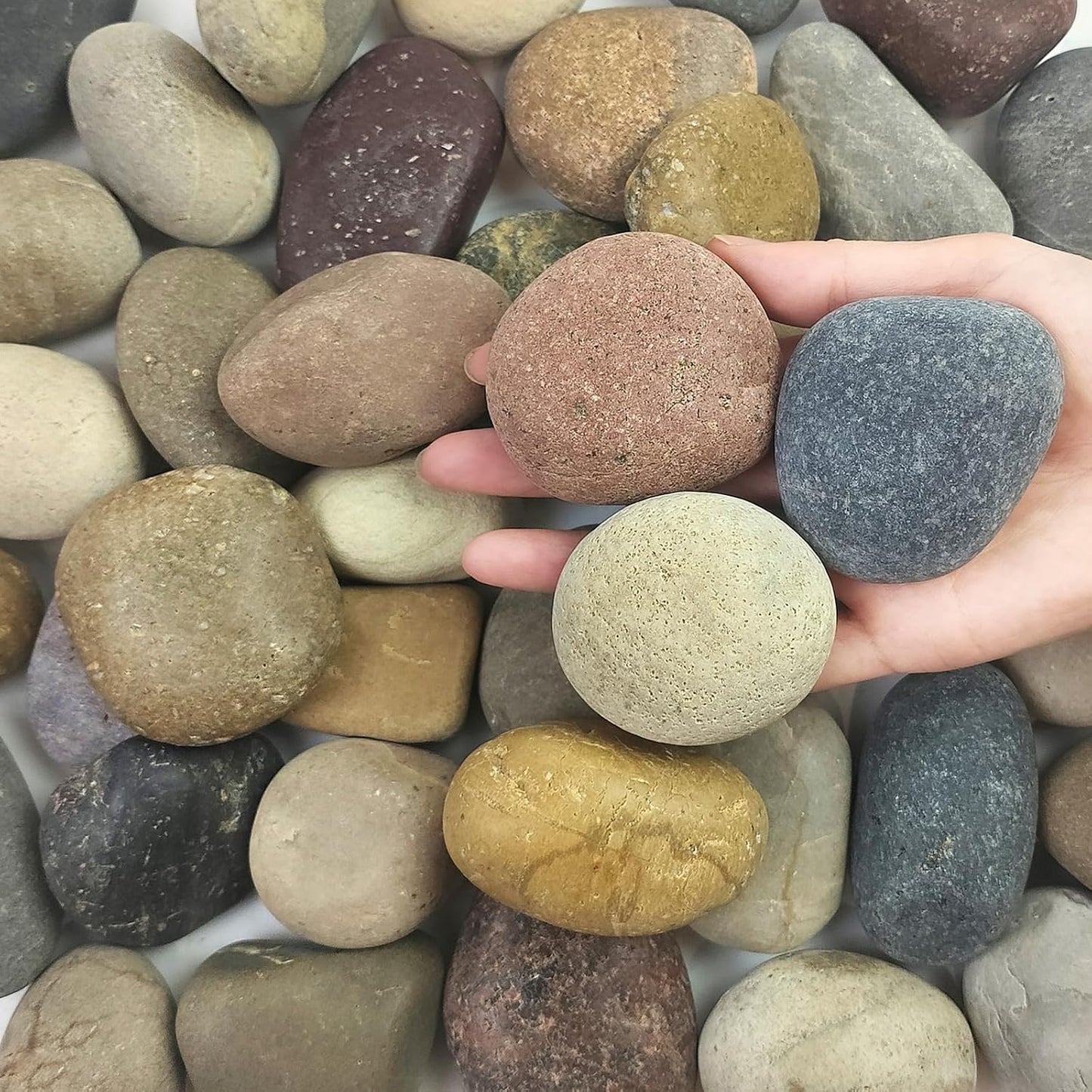 Rocas decorativas de río 2-3" para acuario y jardín