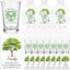 Set 25 vasos chupito acrílico transparente para árbol genealógico