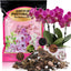 Tierra para orquídeas orgánica corteza 4qt drenaje rápido