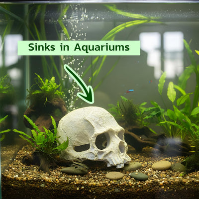 Decoración cráneo humano para acuario peces Betta