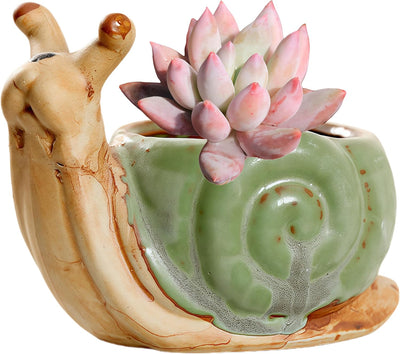 Maceta cerámica forma caracol decoración hogar multicolor